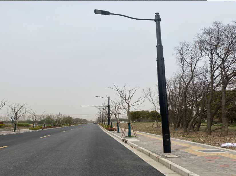 定海区上海综合杆 太阳能路灯工程
